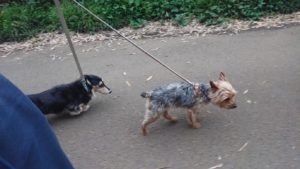 夜のお時間 2019/5/20