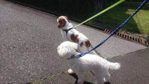 朝のお時間 2019/5/22