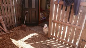 お昼の時間 2019/5/22