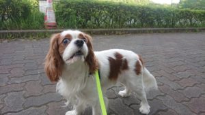 夜の時間 2019/5/22