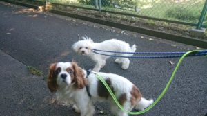 朝のお時間 2019/5/23