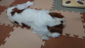 お昼のお時間 2019/5/23