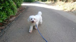 朝のお時間 2019/5/24