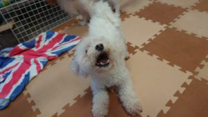 お昼のお時間 2019/5/24