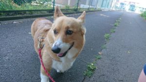 朝のお時間 2019/5/25