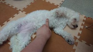 夕方前になってしまったお時間 2019/5/25