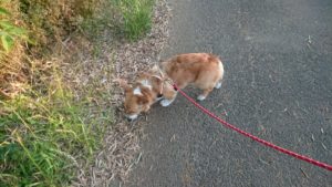 夜のお時間 2019/5/25