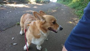 朝のお時間 2019/5/26