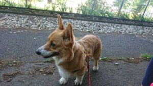 朝のお時間 2019/5/27