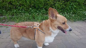 夜のお時間 2019/5/27