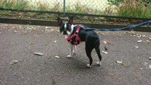 朝のお時間 2019/5/28