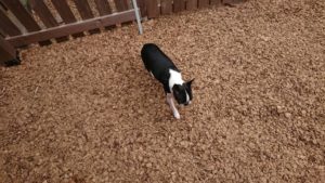 昼のお時間 2019/5/28