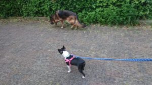 夜のお時間 2019/5/28