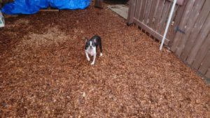 お昼のお時間 2019/5/29