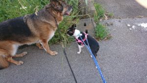 朝のお時間 2019/5/30