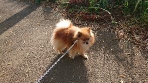 夜のお時間 2019/5/30