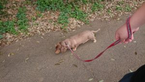 朝のお時間 2019/5/31