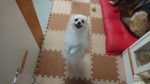 昼のお時間 2019/5/31