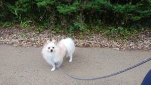 夜のお時間 2019/5/31