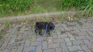 夜のお時間  2019/6/21