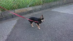 夜のお時間 2019/6/16