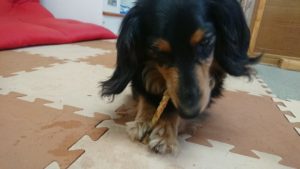 お昼のお時間 2019/6/13