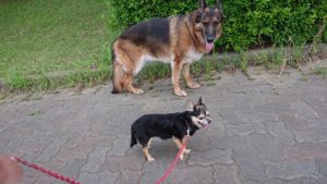 夜のお時間 2019/6/17