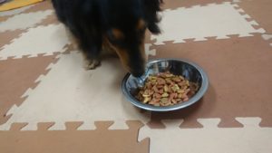 夜のお時間 2019/6/11