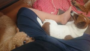 昼のお時間 2019/6/28