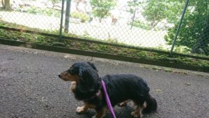 朝のお時間 2019/6/14