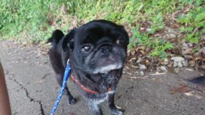 朝のお時間 2019/6/22