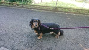 朝のお時間 2019/6/16