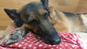 対策する時期ですよ！！