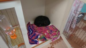 昼のお時間 2019/6/9