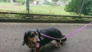 朝のお時間 2019/6/12