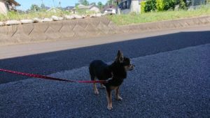 朝のお時間 2019/6/17