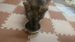 夜のお時間 2019/6/10