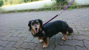 夜のお時間 2019/6/13