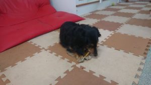 昼のお時間 2019/6/14