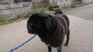 朝のお時間 2019/6/23