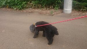 夜のお時間 2019/6/28