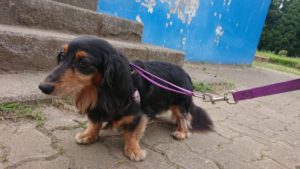 夜のお時間 2019/6/14