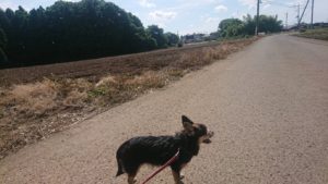 朝のお時間 2019/6/18