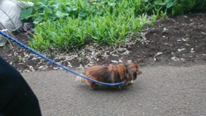 夜のお時間 2019/6/9