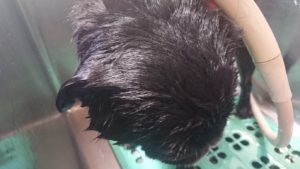 昼のお時間 2019/6/23