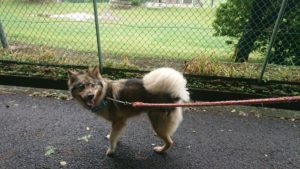 朝のお時間 2019/6/11