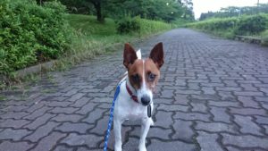 夜のお時間 2019/6/24