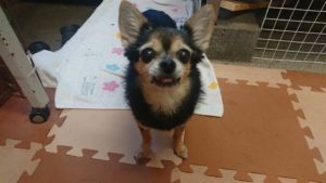 昼のお時間 2019/6/17