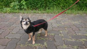 夜のお時間 2019/6/18