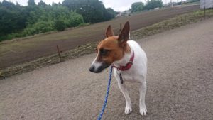 朝のお時間 2019/6/25